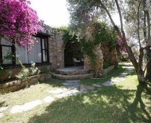 Antik Zeytin Hotel & Art